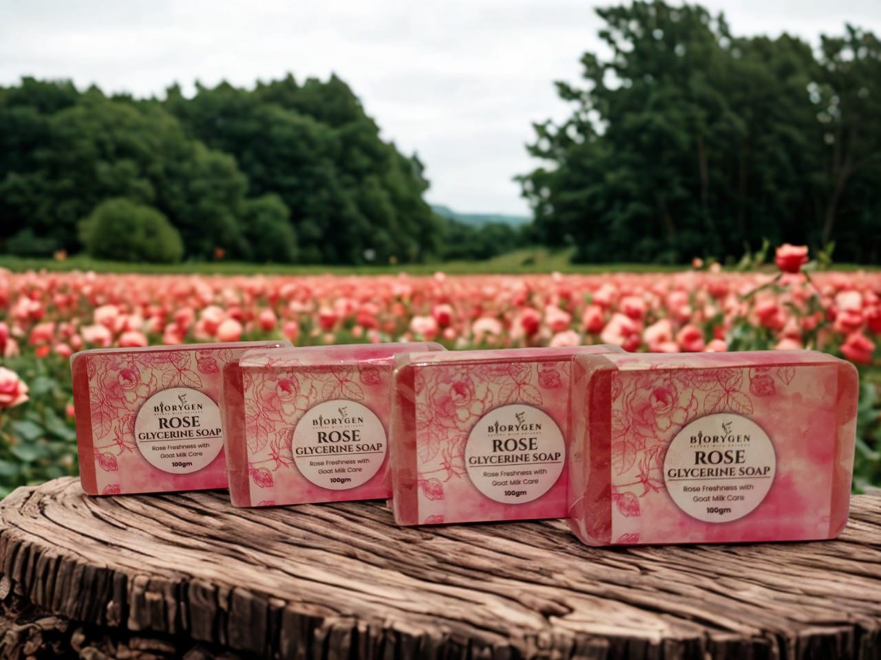 BioRyzen Rose Glycerin Handmade Soap – 100g (Combo 3+1 Free = 400gm) | Natural Moisturizing Ayurvedic Soap for Soft & Glowing Skin